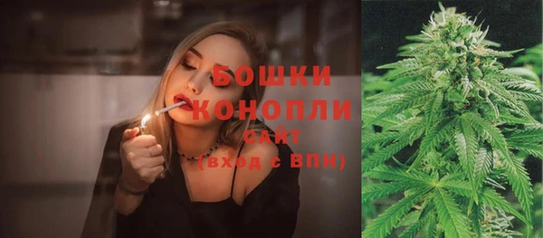 трава Бородино