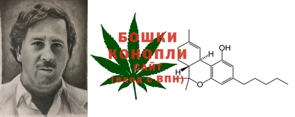 трава Бородино