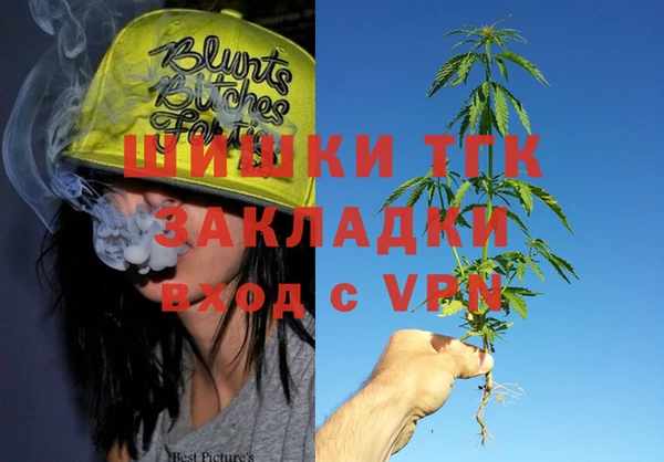трава Бородино