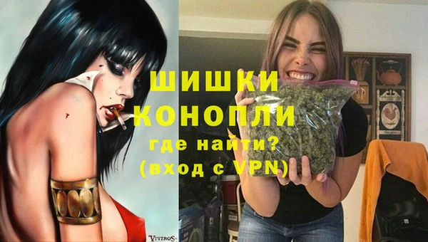 трава Бородино
