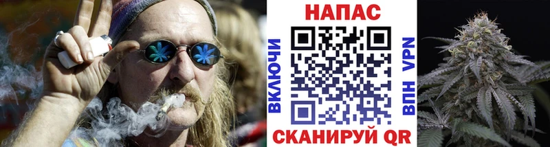 Бошки марихуана THC 21%  MEGA как зайти  Дальнегорск  хочу наркоту 